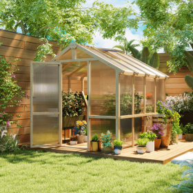 Greenhouse Walk-in Grow House