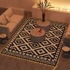 Outdoor Rug Carpet Reversible Plastic Straw Rug with LED Lights Black and White 12' x 9' for Patio